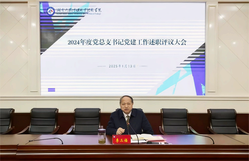 党总支书记述职