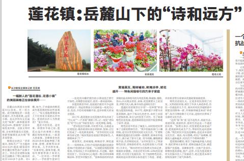 图片7