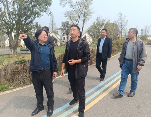 图片4 图片4