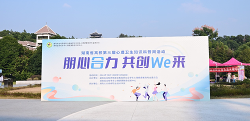图片8