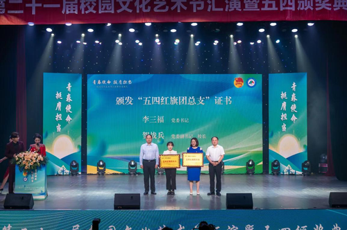 图片3