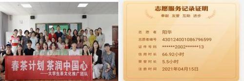 图片8