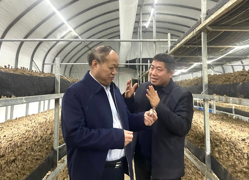 龙山党委会2 龙山党委会2