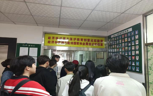 图片 3