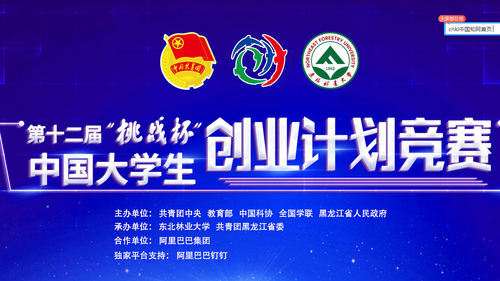 竞赛标题