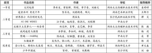 湖南省高校视频类获奖情况