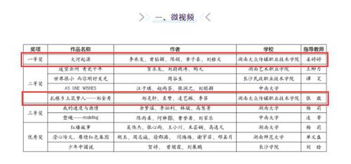 湖南高校获奖情况-微视频类