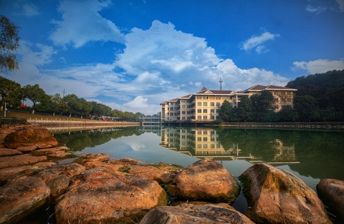 mmexport1609737877873