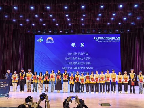 4.手工艺术设计赛项获奖（银奖）